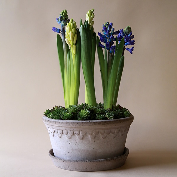 楽天市場】バーグスポッター コペンハーゲンポット 12 16 21