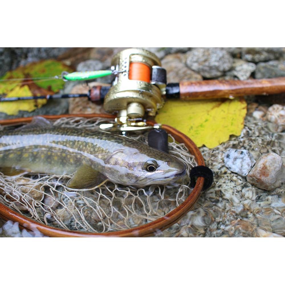 THE DAY ザ・デイ TD-TB411Boron | つながろう、新しい「釣りの」世界