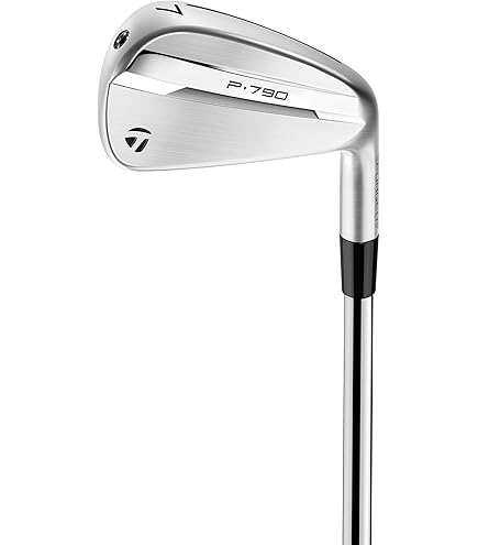 Amazon.co.jp: TaylorMade P7MC 4-PW アイアンセット スチールシャフト
