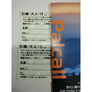 上越国際スキー場 リフト券＋レンタル割引券 最終値下げの通販 by