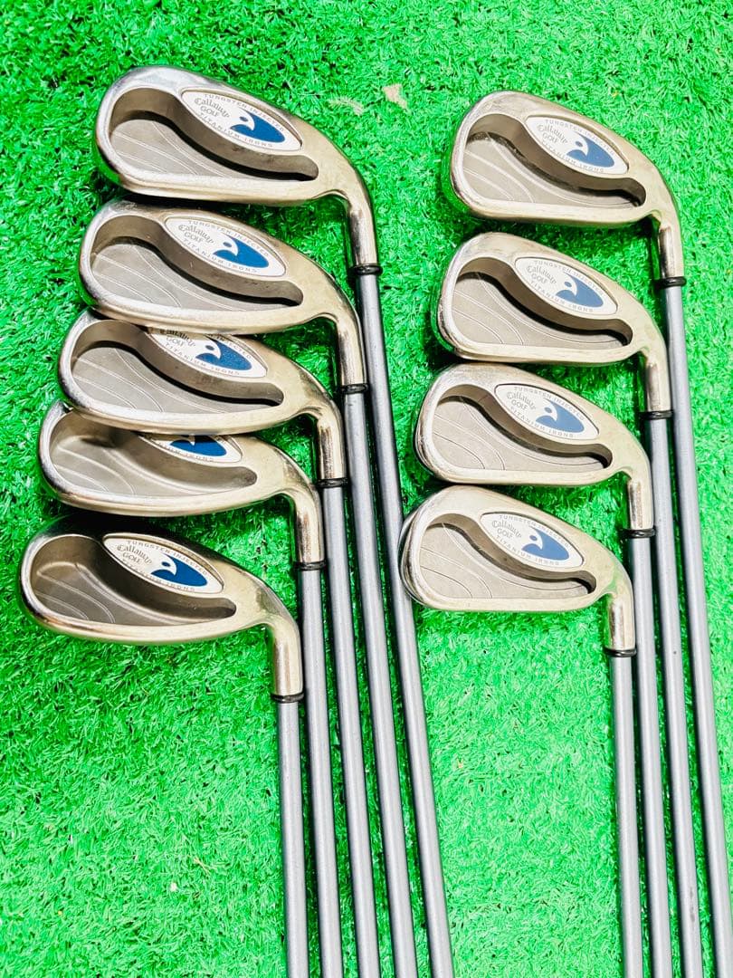 キャロウェイ Hawk Eye ホークアイ 9本セット フレックスR キャロウェイ アイアンセット フルセット ホークアイ 初心者 入門