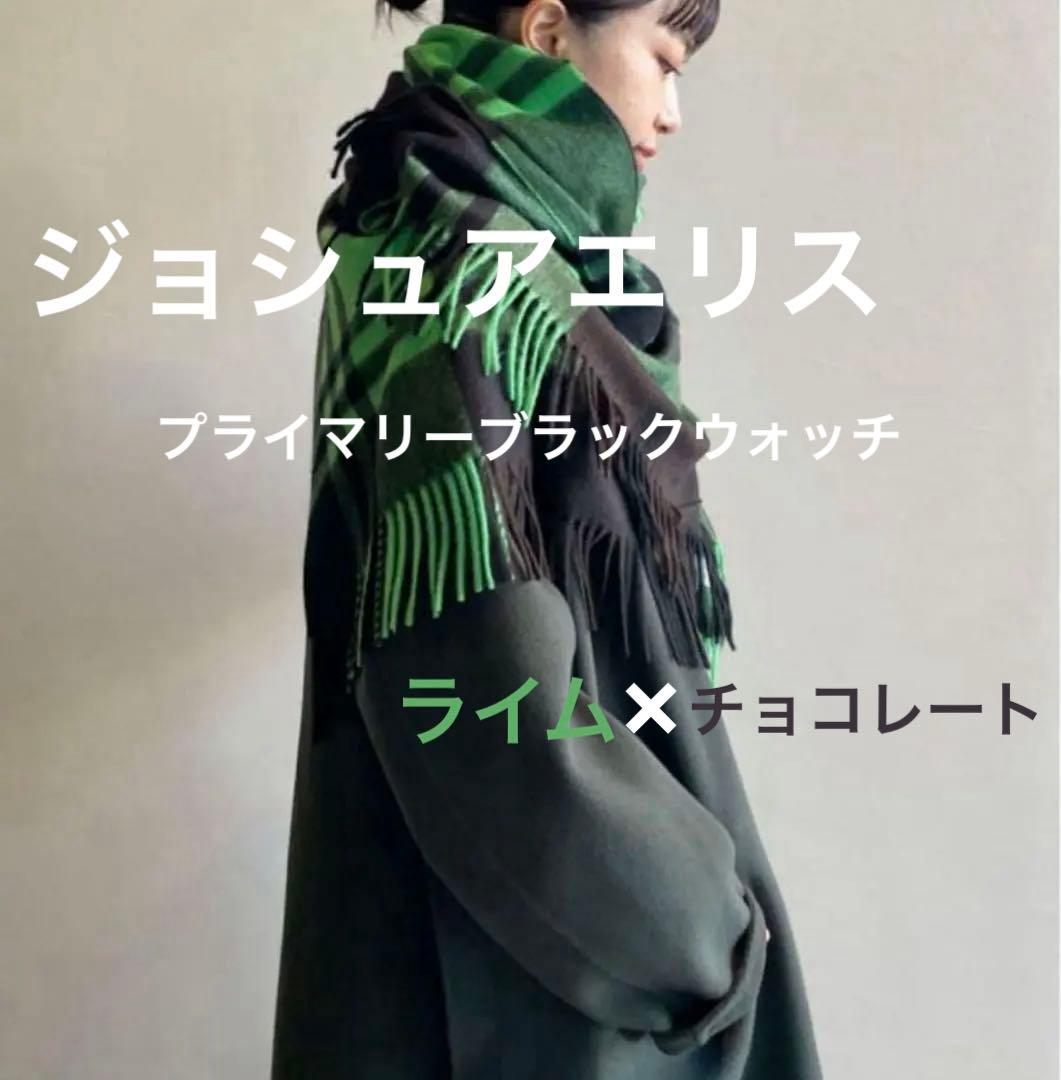 ジョシュアエリス　カシミヤ　大判　ストール　ライム　ユナイテッドアローズ NISHIMURAのスタッフボイス｜ユナイテッドアローズ公式通販 - UNITED