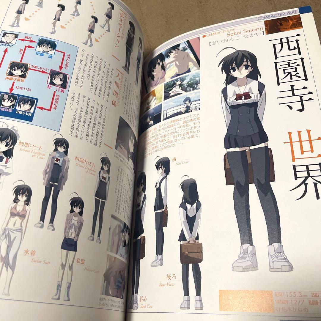 2冊セット】Schooldays、Summerdaysビジュアル・ガイドブック - メルカリ